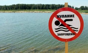Крафтавая гарбата на пюрэ, безалкагольны пунш, мядовы рулет. Сабралі сезонныя прапановы гродзенскіх устаноў