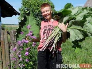“Трава ля дома” Майстар-клас і дэгустацыя страваў, напояў і касметыкі з зёлак, якія растуць побач з намі