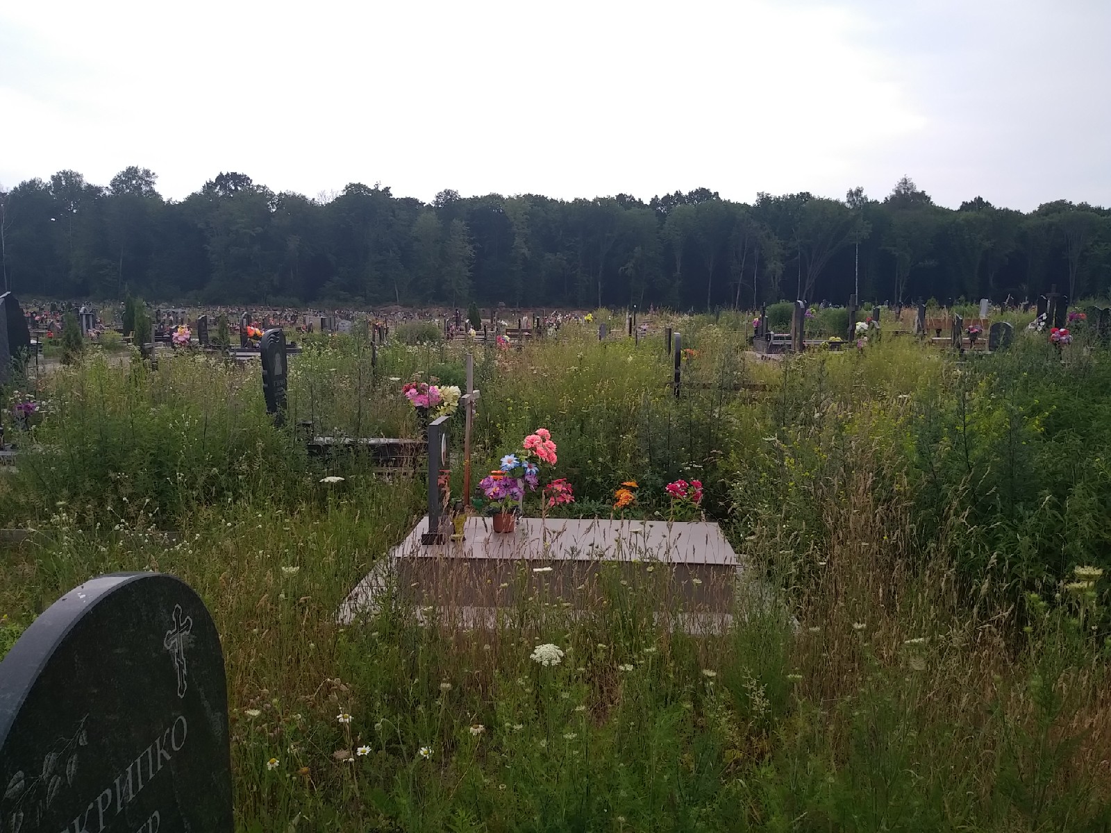 Чаму не косяць могілкі ў Гродне? Актывіст спытаўся і вось што адказала САГ Чаму не косяць могілкі ў Гродне? Актывіст спытаўся і вось што адказала САГ