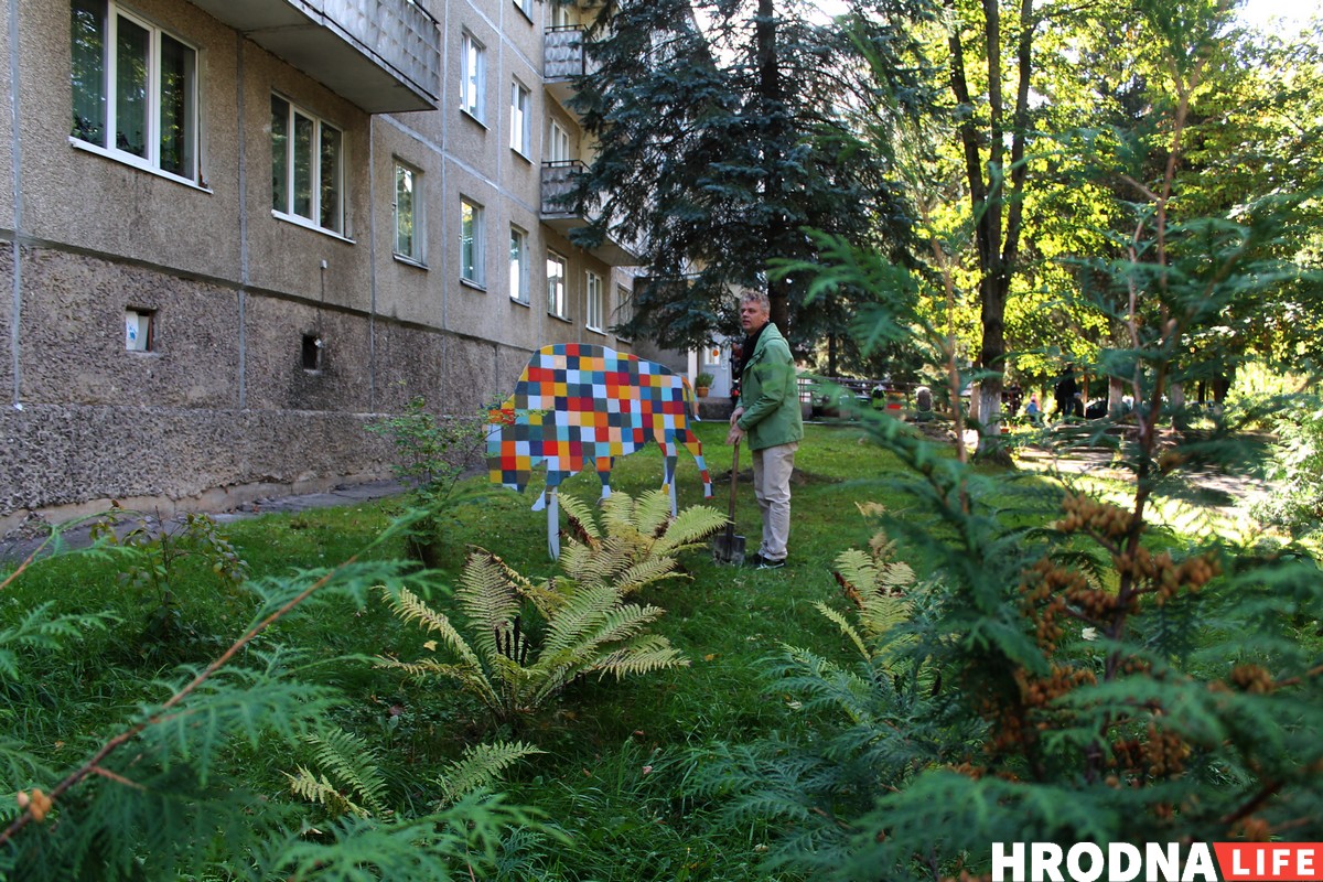 Алень святога Губерта, рысь і зубр. Глядзіце, як змяніўся дворык Гродзенскага дзіцячага хоспіса Алень святога Губерта, рысь і зубр. Глядзіце, як змяніўся дворык Гродзенскага дзіцячага хоспіса