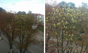 У Гродзенскай вобласці ўведзена забарона на наведванне лясоў у шасці раёнах У Гродзенскай вобласці ўведзена забарона на наведванне лясоў у шасці раёнах