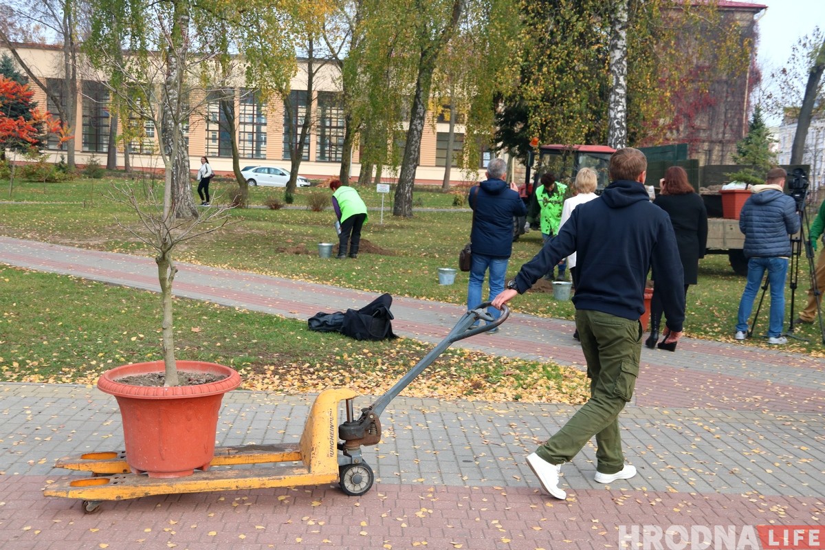 «Аддаў даўжок Наталлі Канюк». Батанічны сад у парку Жылібера папоўніўся новымі дрэвамі