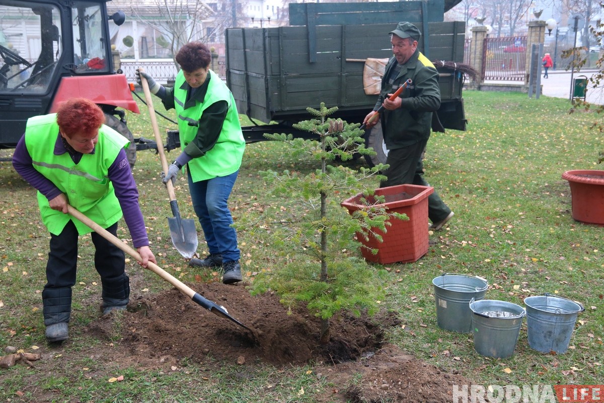 ботанический сад, парк Жилибера, Канюк, батанічны сад, парк Жылібера