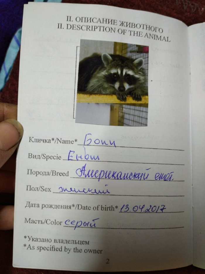Галодныя, хворыя і спалоханыя. Як у Гродне ратавалі жывёл з кантактнага заапарка Галодныя, хворыя і спалоханыя. Як у Гродне ратавалі жывёл з кантактнага заапарка