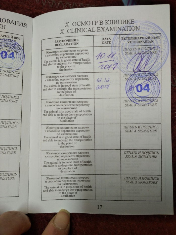 Галодныя, хворыя і спалоханыя. Як у Гродне ратавалі жывёл з кантактнага заапарка Галодныя, хворыя і спалоханыя. Як у Гродне ратавалі жывёл з кантактнага заапарка