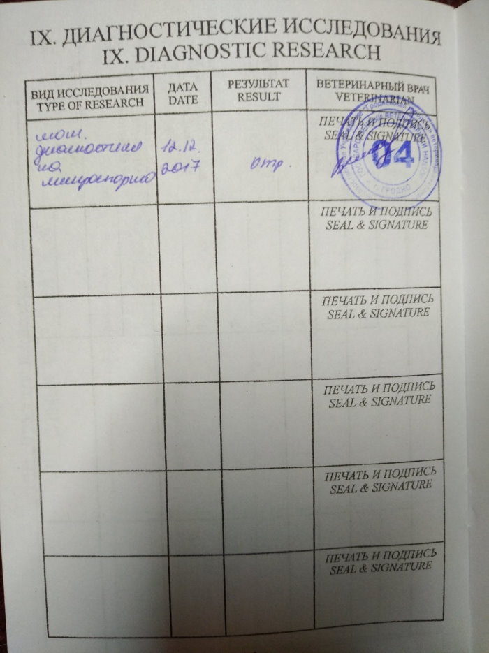 Галодныя, хворыя і спалоханыя. Як у Гродне ратавалі жывёл з кантактнага заапарка Галодныя, хворыя і спалоханыя. Як у Гродне ратавалі жывёл з кантактнага заапарка