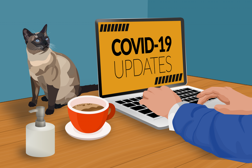 Зноў плюс 500. У Беларусі зарэгістравана 7281 заражаных COVID-19 Фота: pixabay.com