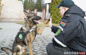 собаки на границе кинологи граница
