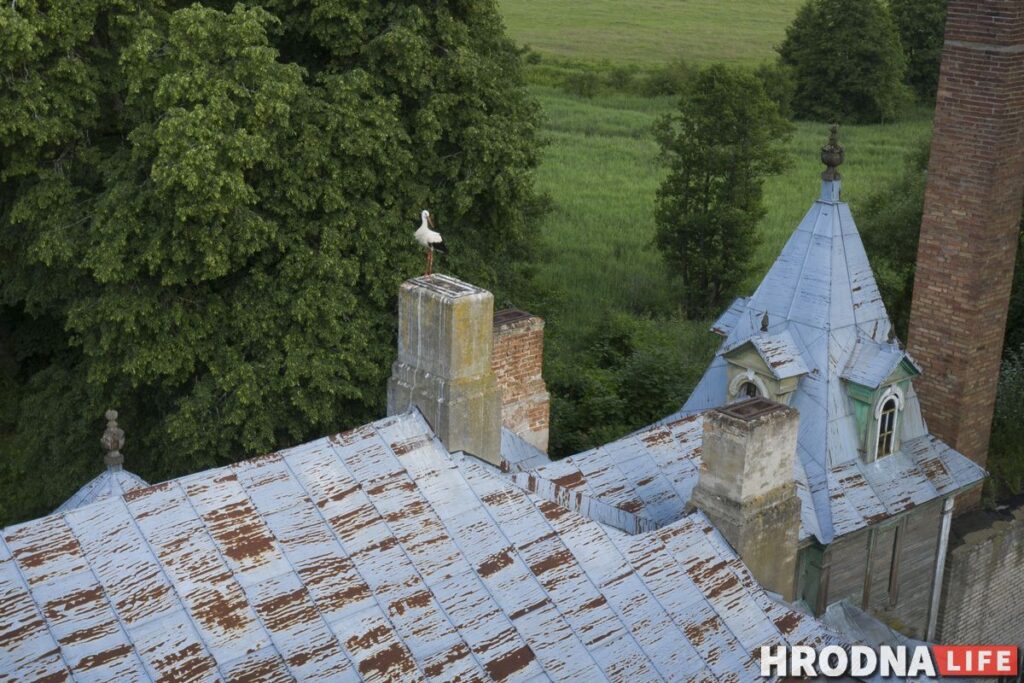 Каліноўскі, скарб Талочкаў і кавалачак Брэстчыны: 10 месцаў паміж Свіслаччу і Зэльвай – за 1 дзень