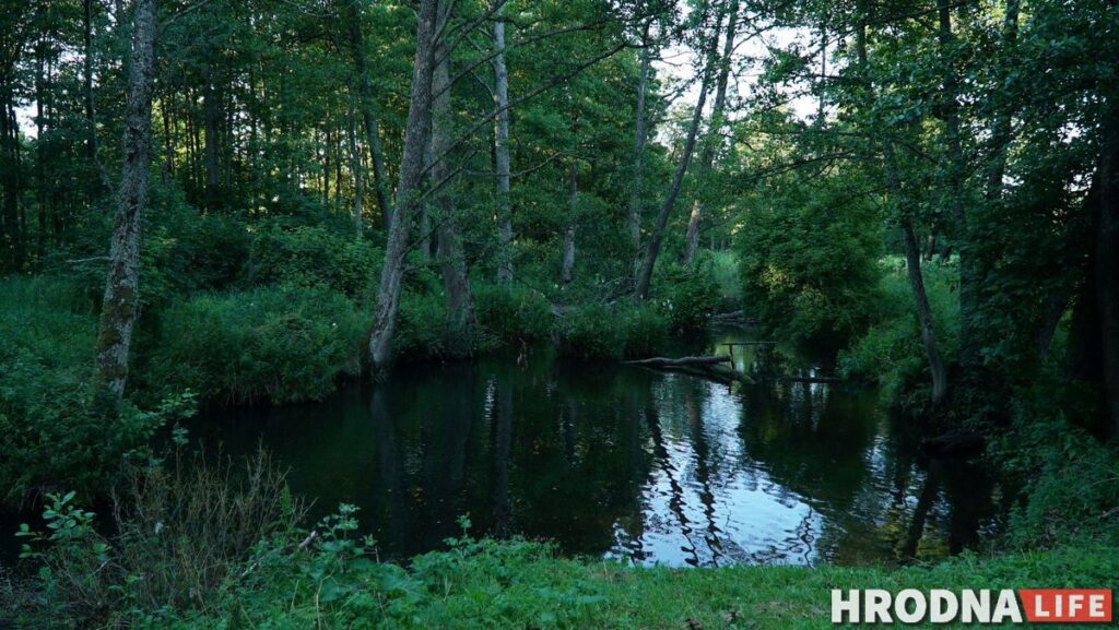 Горад Ларысы Геніюш, радзіма беларускіх немцаў і сядзіба, дзе гасцяваў Напалеон. 10 месцаў паміж Свіслаччу і Зэльвай – за 1 дзень