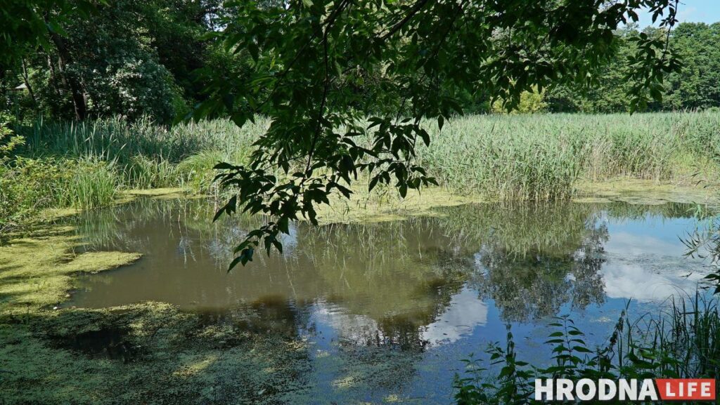 Каліноўскі, скарб Талочкаў і кавалачак Брэстчыны: 10 месцаў паміж Свіслаччу і Зэльвай – за 1 дзень