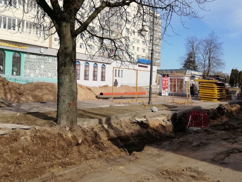На Ожешко спилили старые каштаны. Высадят ли замену?