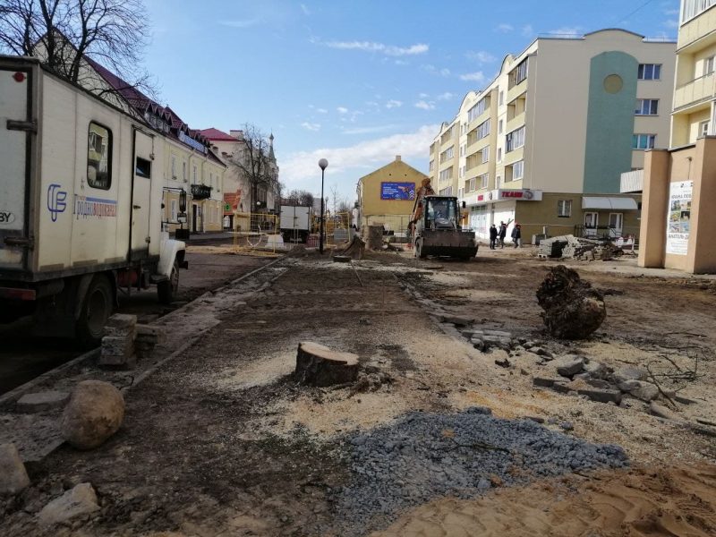 6000 дрэваў і 7000 кустарнікаў высадзяць у Гродне, каб кампенсаваць ранейшыя вырубкі