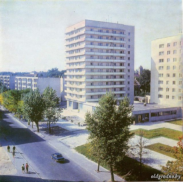 На Ожешко спилили старые каштаны. Высадят ли замену?