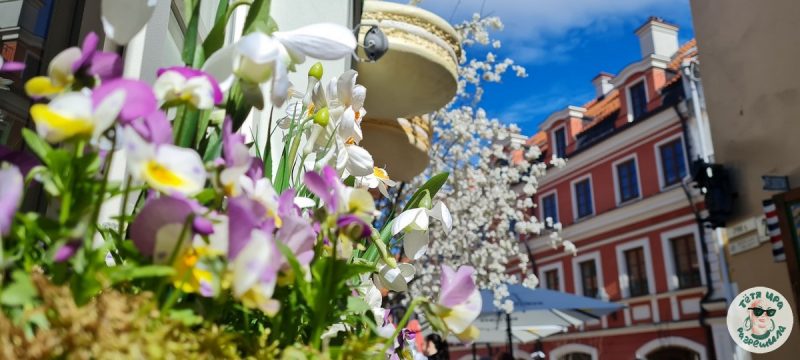 Крокі, малюнкі, ежа. Што ратуе, калі зусім цяжка - праверана на сабе