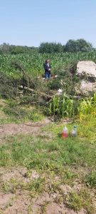 У Стрыеўцы зруйнавалі помнік загінулым польскім жаўнерам. Гэта ўжо пяты выпадак у Гродзенскай вобласці У Стрыеўцы зруйнавалі помнік загінулым польскім жаўнерам. Гэта ўжо пяты выпадак у Гродзенскай вобласці