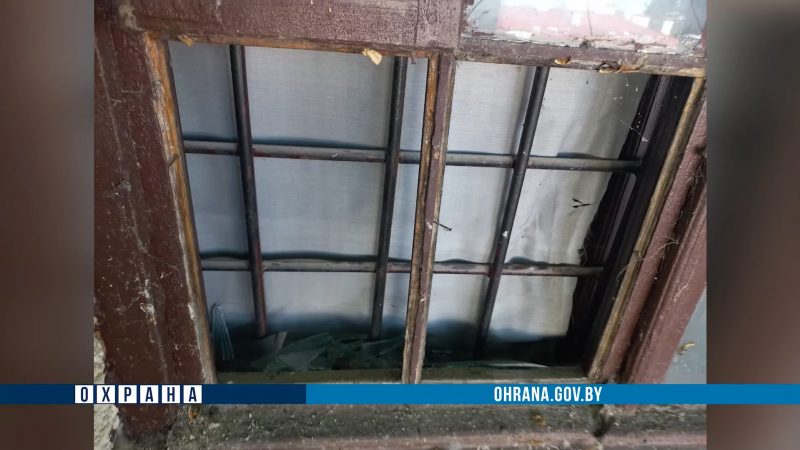 Мужчина разбил окна в Старом замке: хотел посмотреть, как жили короли
