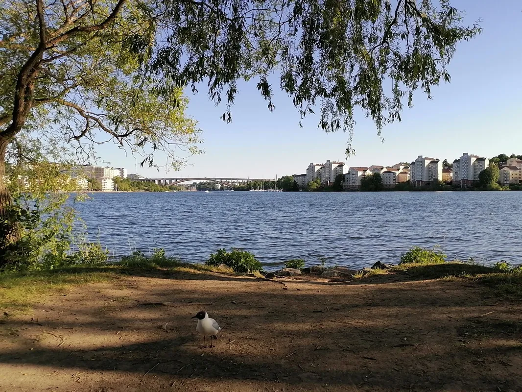 У раёне Huvudsta strand
