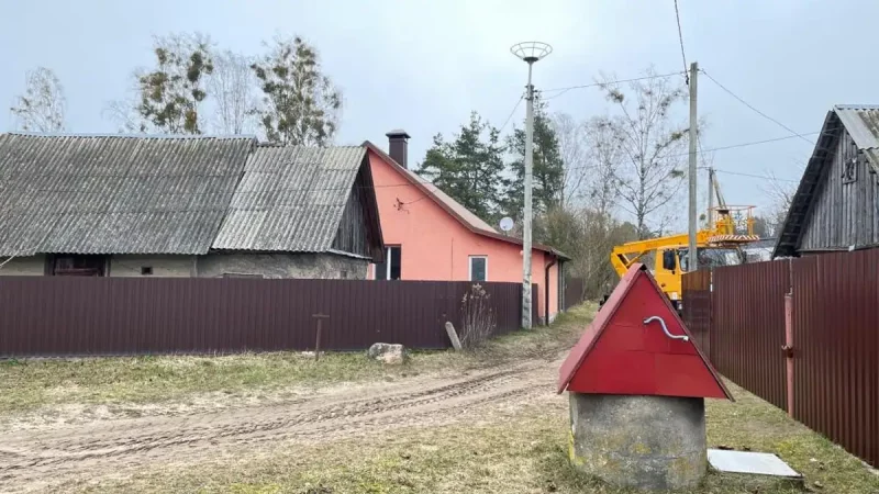 Под Гродно аистов отселяют с линий электропередач: будет польза и людям, и птицам
