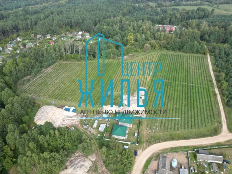Пад Гроднам прадаюць гатовы бізнес па вырошчванні дурніц Бізнес па вырошчванні дурніц. Фота: "Цэнтр жылля"