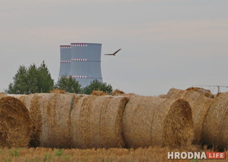 Улады вывучаць, як апрамяняюцца жыхары ў зоне БелАЭС БелАЭС