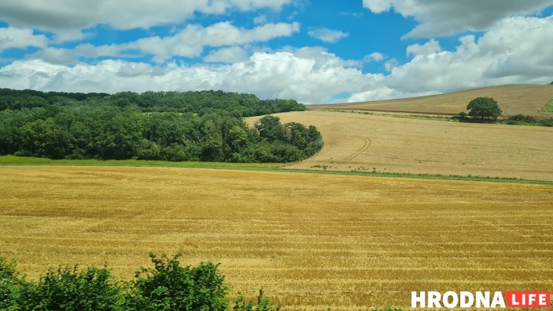 Хлеб на поле, начало осени. Время сбора урожая