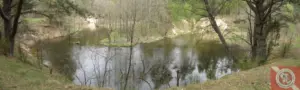 Рака Шляміца. Фота: akvalang.com