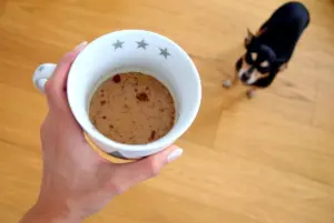 Гродзенцы склалі спіс устаноў dog-friendly кава сабака