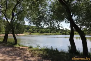 У разгар лета ў Слоніме закрываюць возера — і заадно высякаюць дрэвы У разгар лета ў Слоніме закрываюць возера — і заадно высякаюць дрэвы